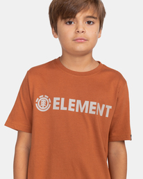 3 Blazin - T-Shirt for Boys Brown Z2SSC9ELF1 Element