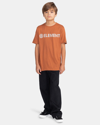 4 Blazin - T-Shirt for Boys Brown Z2SSC9ELF1 Element