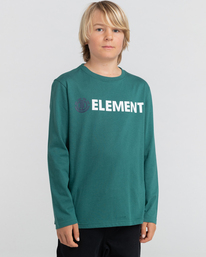 2 Blazin - Maglietta voor Ragazzo Green Z2SSC9ELF1 Element
