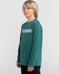 3 Blazin - Maglietta voor Ragazzo Green Z2SSC9ELF1 Element