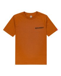 0 Blazin Chest - Camiseta para Chicos  Z2SSD1ELF1 Element
