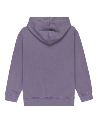 element, Lowcase Pigment Po Y - Hoodie voor Jongens 8-16, GRAYSTONE (krb0) Lowcase Pigment Po Y - Hoodie for Boys 8-16  ELBFT00131