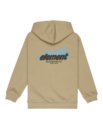 element, Rain Cornell - Zip-Up Sweatshirt for Boys 8 - 16, ALUMINUM (tkh0) Rain Cornell - Zip-Up Sweatshirt for Boys 8 - 16  ELBFT00133