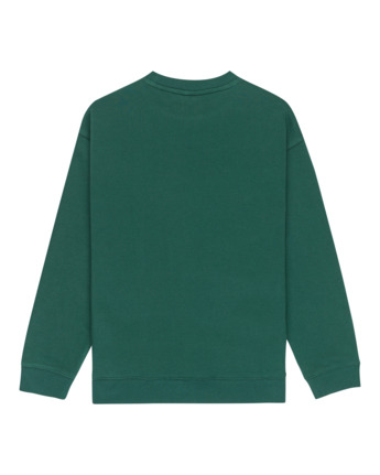 element, Central Lowcase Cr Y - Sweater voor Jongens 8-16, DARK GREEN (gsl0) Central Lowcase Cr Y - Sweatshirt for Boys 8-16  ELBFT00146