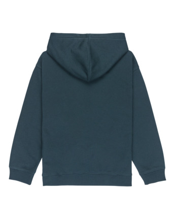 element, Central Lowcase Po Y - Sweat à capuche pour Garçon 8-16 ans, MAGICAL FOREST (btg0) Central Lowcase Po Y - Hoodie for Boys 8-16  ELBFT00147