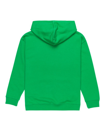 Skateboard Co - Pullover Hoodie for Boys 8 - 16  ELBSF00182