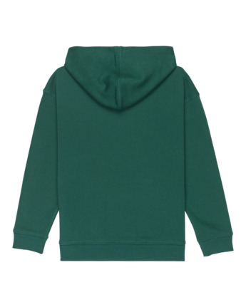 element, Home Team Po Y - Sweat à capuche pour Garçon 8-16 ans, DARK GREEN (gsl0) Home Team Po Y - Hoodie for Boys 8-16  ELBSF00198