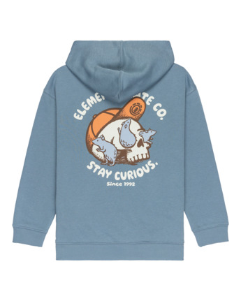 element, Curious Po Y - Sweat à capuche pour Garçon 8-16 ans, BLUE MIRAGE (bmk0) Curious Po Y - Hoodie for Boys 8-16  ELBSF00201