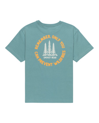 element, SBXE Remember - Short Sleeves T-Shirt for Boys 8 - 16, TRELLIS (bkw0) SBXE Remember - Short Sleeves T-Shirt for Boys 8 - 16  ELBZT00223