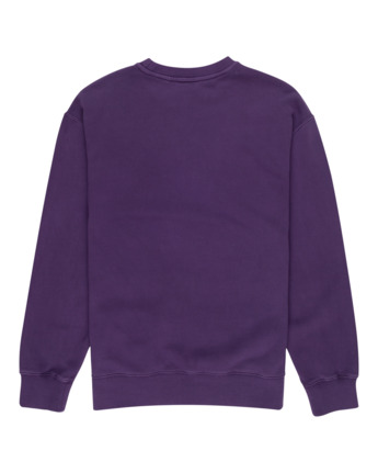 Cornell 3.0 - Sweatshirt for Men  ELYFT00151