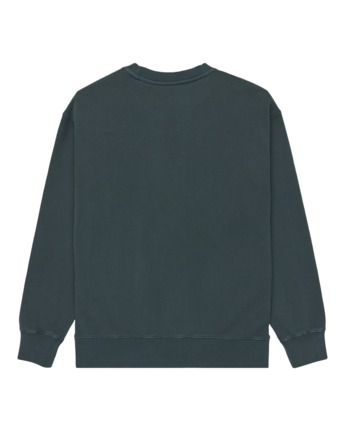 element, Lowcase Pigment Cr - Sweatshirt für Männer, MAGICAL FOREST (btg0) Lowcase Pigment Cr - Sweatshirt for Men  ELYFT00172