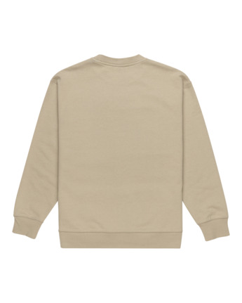 element, Cornell Cipher - Sudadera para Hombre, ALUMINUM (tkh0) Cornell Cipher - Pullover Sweatshirt for Men  ELYFT00190