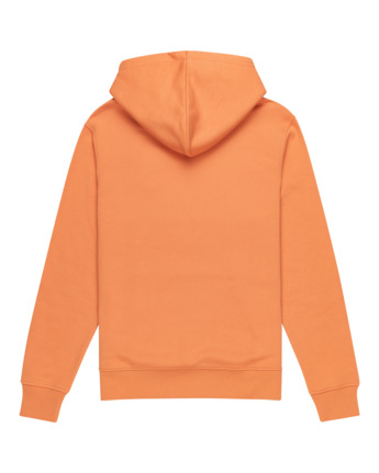 Cornell Classic - Pullover Hoodie for Men  ELYFT00198