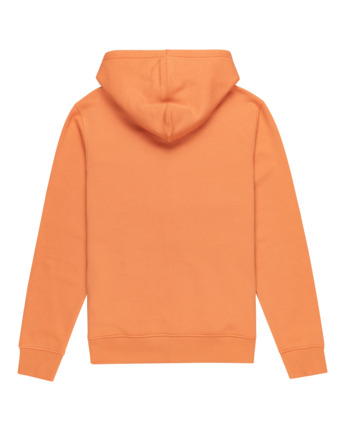 Cornell Classic - Zip-Up Hoodie for Men  ELYFT00199