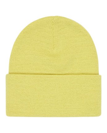 element, High Icon - Bonnet classique, WEEPING WILLOW (gga0) High Icon - Classic Beanie  ELYHA00232