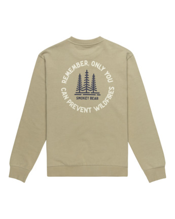 element, SBXE Remember - Sweatshirt für Männer, TEA (ghe0) SBXE Remember - Pullover Sweatshirt for Men  ELYSF00263