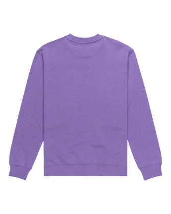 Dual - Pullover Sweatshirt for Men  ELYSF00264