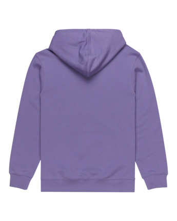 Skateboard Co - Pullover Hoodie for Men  ELYSF00266