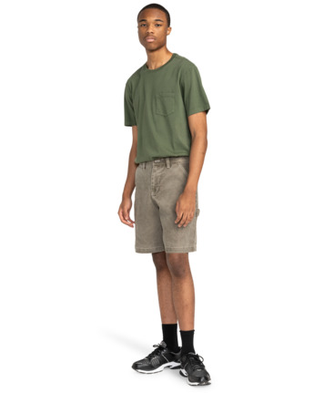 element, Carpenter 12.6" - Zimmermann-Shorts für Männer, STONE GRAY (cpn0) Carpenter 12.6" - Carpenter Shorts for Men  ELYWS00138