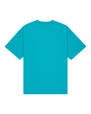 element, Substance - T-Shirt à manches courtes pour Homme, LAKE BLUE (bnw0) Substance - Short Sleeve T-Shirt for Men  ELYZT00592