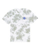 PUSSYWILLOW DYE (4843)