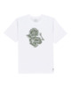 OPTIC WHITE (3904)