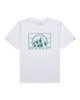 OPTIC WHITE (3904)