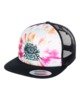 FESTIVALFUCHSIA (3728)