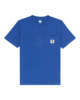 BRIGHT COBALT (4804)