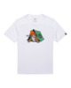 OPTIC WHITE (3904)