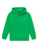 Skateboard Co - Pullover Hoodie for Boys 8 - 16  ELBSF00182