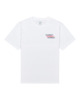 OPTIC WHITE (wbb0)