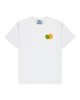 OPTIC WHITE (wbb0)