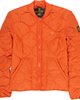 BURNT OCHRE (0893)