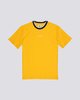 GOLD (0581)
