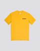 GOLD (0581)