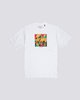 OPTIC WHITE (3904)