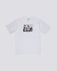 OPTIC WHITE (3904)
