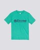 MINT (0539)