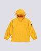 GOLD (0581)