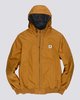 GOLD BROWN (5678)