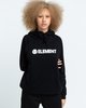 FLINT BLACK (3732)