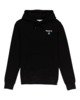 FLINT BLACK (3732)