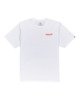 OPTIC WHITE (3904)