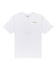 OPTIC WHITE (3904)