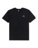 FLINT BLACK (3732)