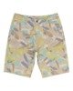 ABSTRACT CAMO (2751)