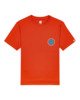 SPICY ORANGE (3707)
