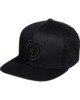 FLINT BLACK (3732)
