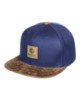 INSIGNIA BLUE (8732)